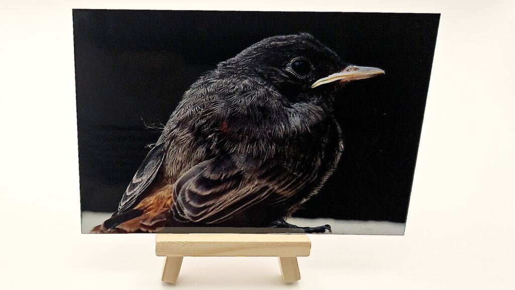 Sublimation sur Aluminium
